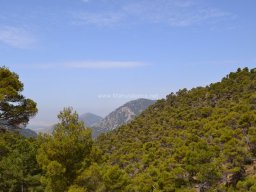 Valle de Leiva-Perdiz 2010